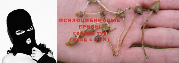 стаф Алексеевка