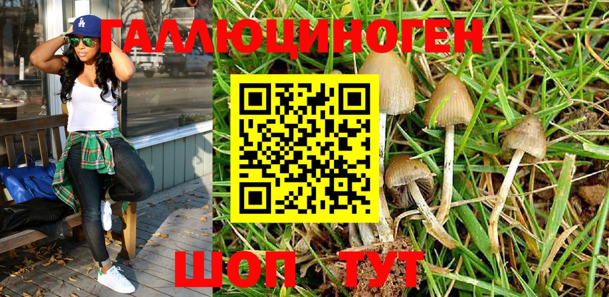 Галлюциногенные грибы мицелий  Сыктывкар  Галлюциногенные грибы мухоморы 